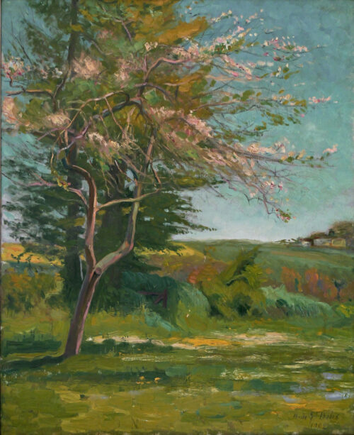 Saint-Delis – Blossoming Tree